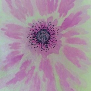 Meet your Posher, Paula